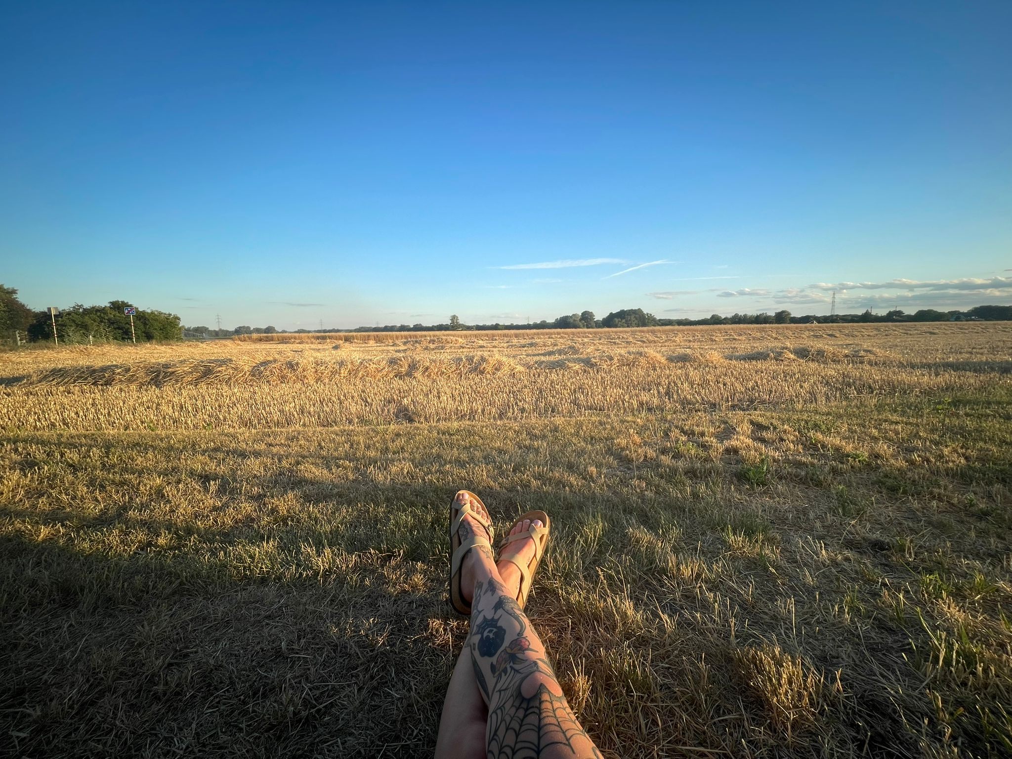 Legs resting in a field